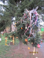 IMG_7538.jpg, 34kB